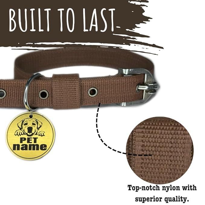 Pawpro Adjustable Dog Collar with Secure D-Ring | Soft Padded Nylon Collar for Small Medium Large Dogs | 2 inch Wide | Quick Release Buckle | Black, Red, Blue Colors