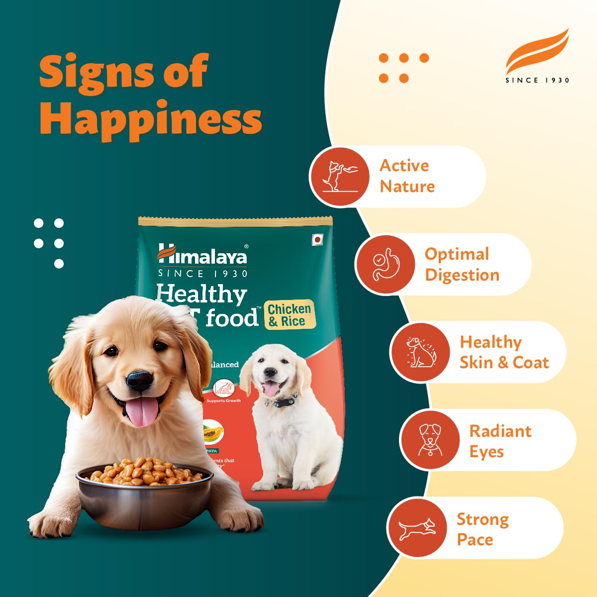 Himalaya Healthy Pet Food Adult Dog Food | Meat & Rice, Medium Breed | 1.2kg | Complete & Balanced Nutrition | Fortified with Herbs | 20+ Nutrients, Vitamins & Minerals