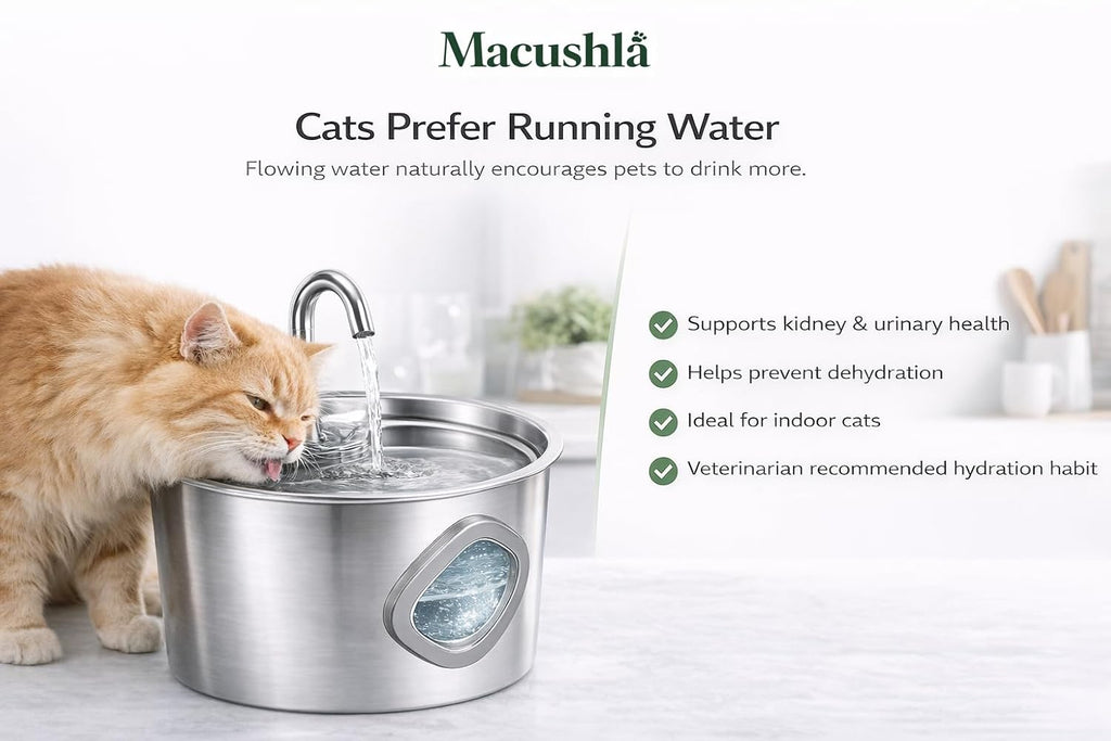 Macushla 3.2L Stainless Steel Cat Water Fountain with LED - Automatic Pet Drinking Fountain for Cats & Small Dogs