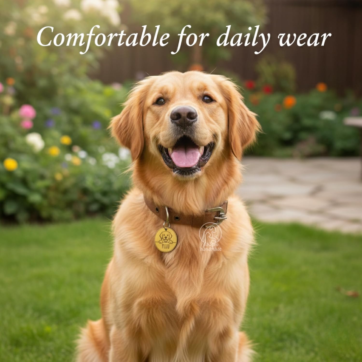 Pawpro Adjustable Dog Collar with Secure D-Ring | Soft Padded Nylon Collar for Small Medium Large Dogs | 2 inch Wide | Quick Release Buckle | Black, Red, Blue Colors