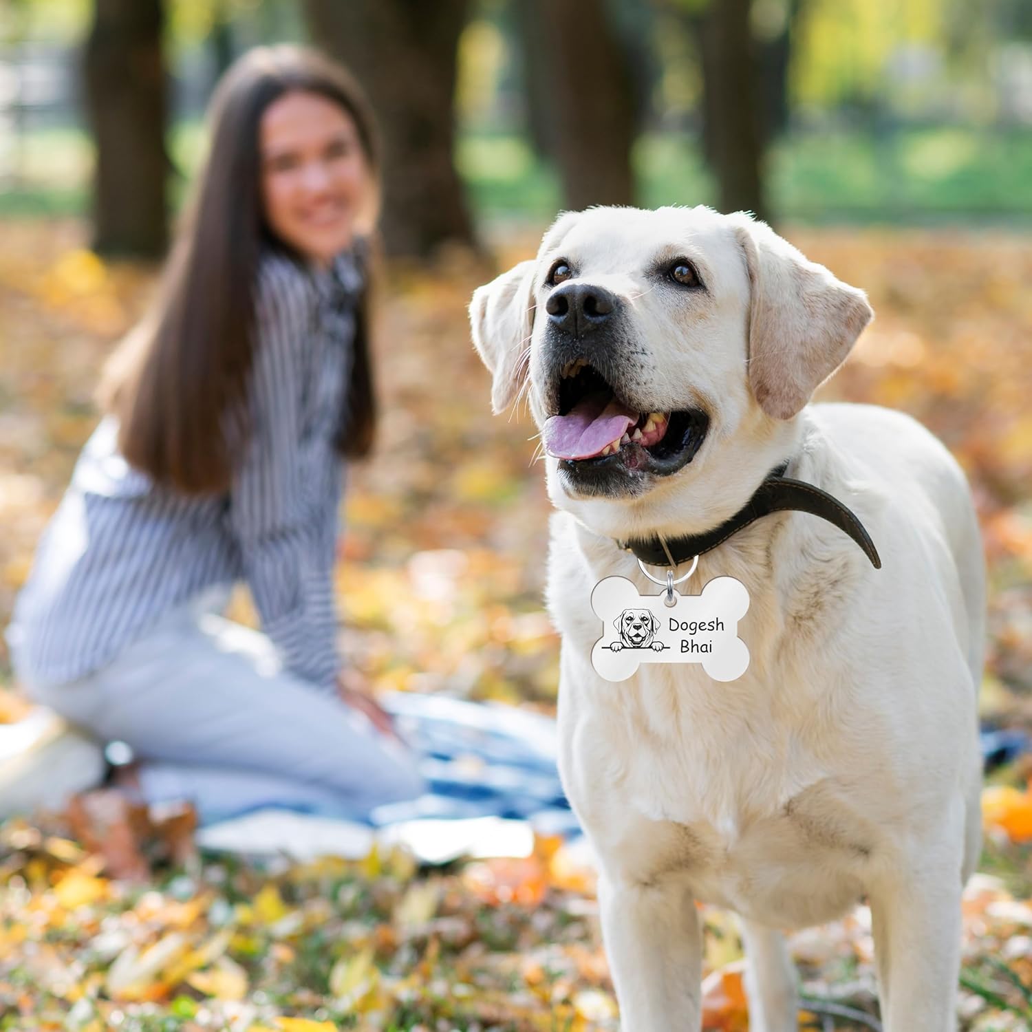 Customized Personalized Dog Collar with Name Tag | Laser Engraved ID Tag | Soft Padded Belt | Adjustable for Small Medium Large Dogs | Red, Cooler, Black | Custom Name & Phone Number