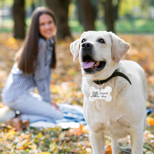 Customized Personalized Dog Collar with Name Tag | Laser Engraved ID Tag | Soft Padded Belt | Adjustable for Small Medium Large Dogs | Red, Cooler, Black | Custom Name & Phone Number